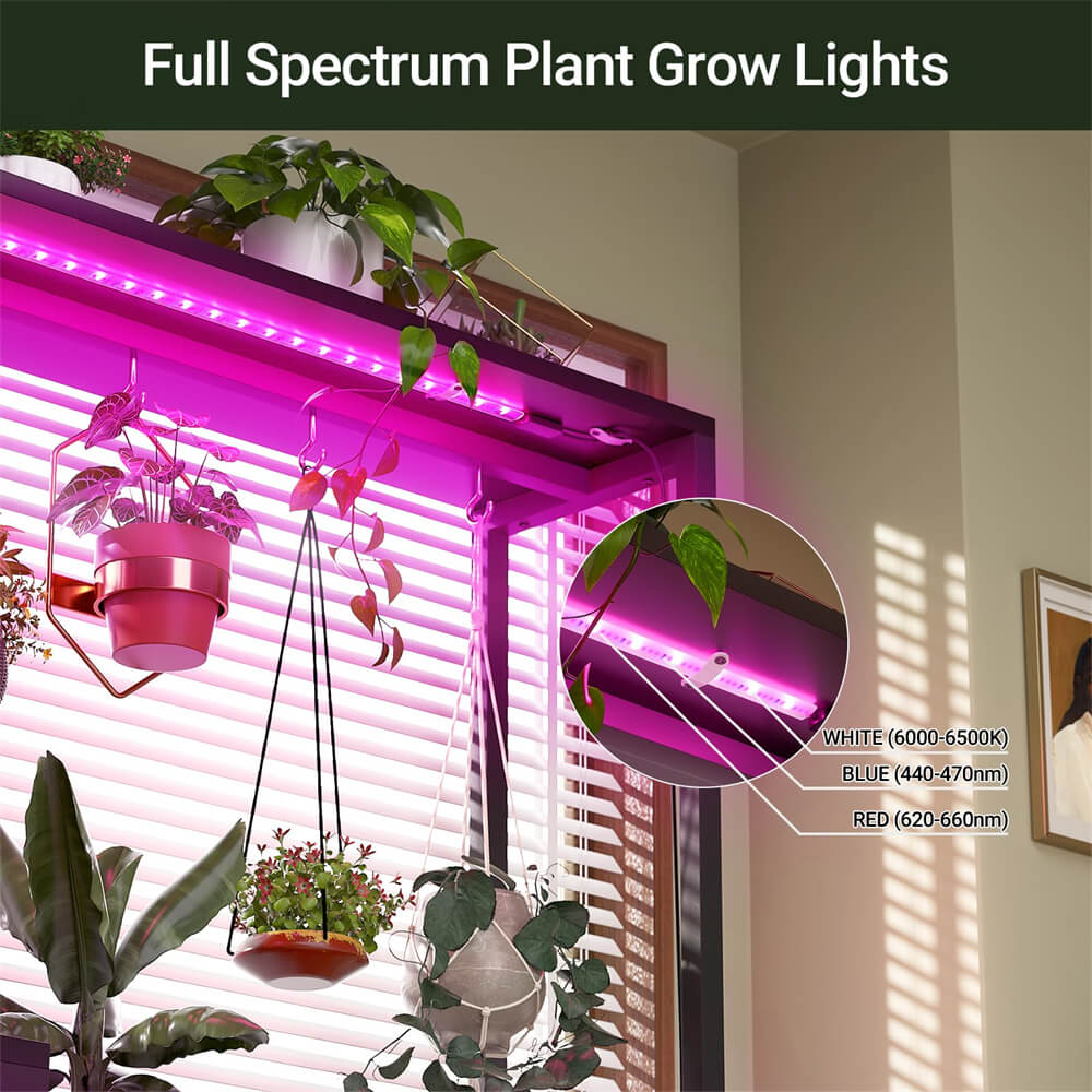 6-Tier Plant Stand with Grow Lights, Large Indoor Plant Holders Stand with Hanging Hooks