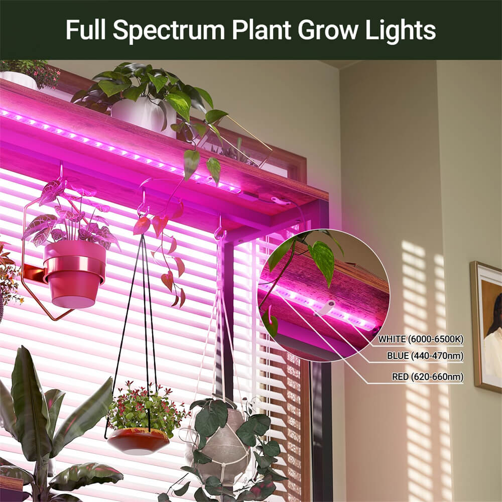 6-Tier Plant Stand with Grow Lights, Large Indoor Plant Holders Stand with Hanging Hooks