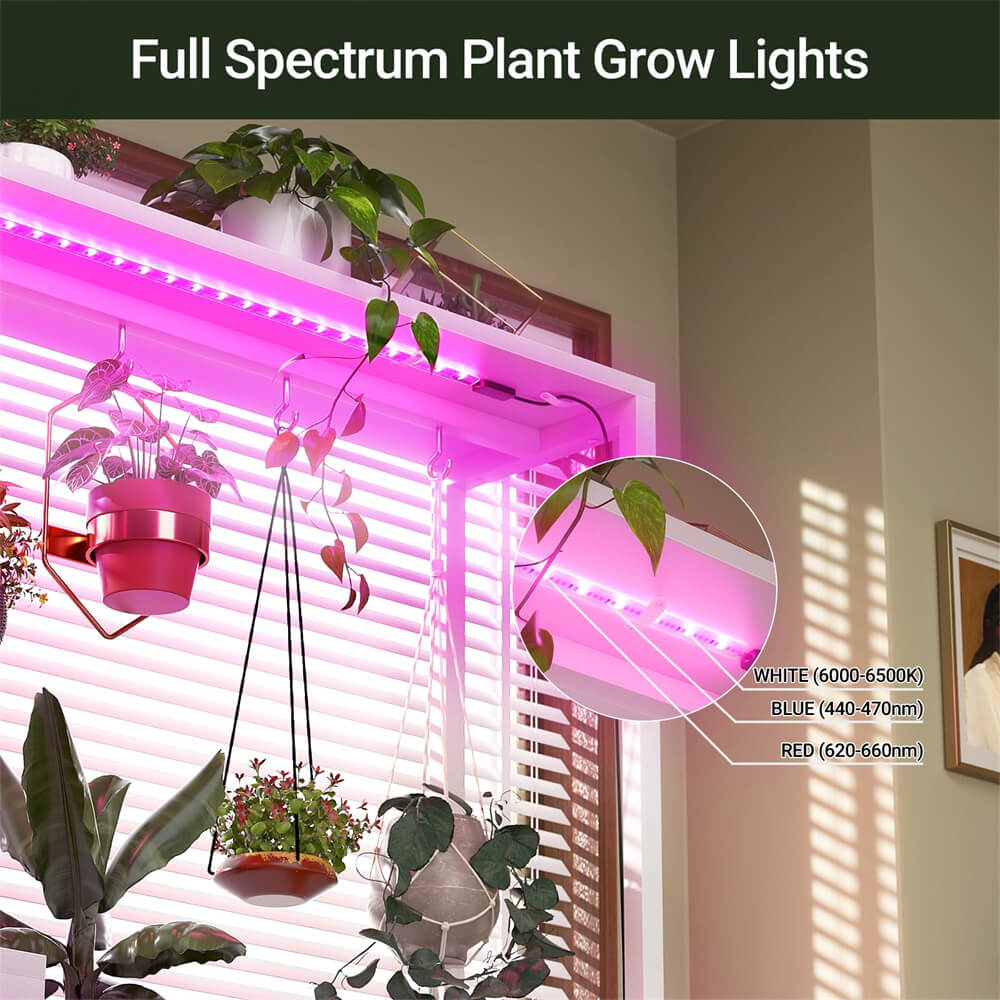 6-Tier Plant Stand with Grow Lights, Large Indoor Plant Holders Stand with Hanging Hooks